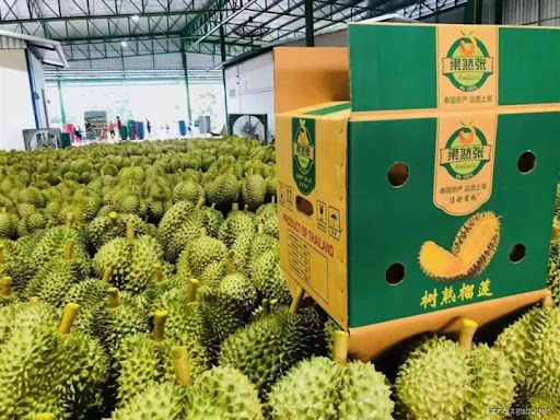 现代农业如何利用小麦基生物燃料优化能源结构